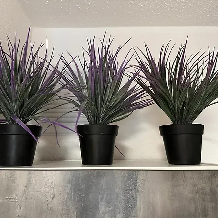 Апартаменты Hills In Бад-Бергцаберн