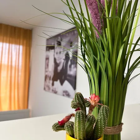 Hills In * Бад-Бергцаберн