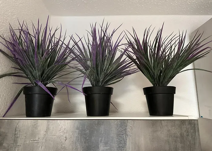 Apartamento Hills In Bad Bergzabern