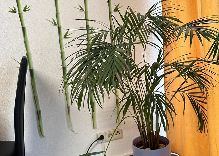 Apartamento Hills In Bad Bergzabern